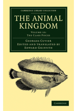 The Animal Kingdom - Volume 10