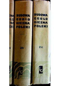 Budowa geologiczna polski 3 tomy