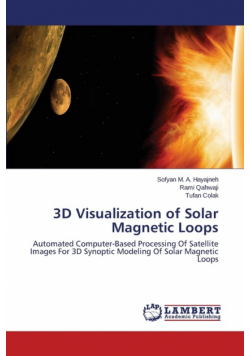 3D Visualization of Solar Magnetic Loops