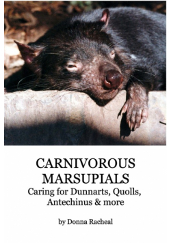 Carnivorous Marsupials - Caring for