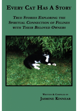 Every Cat Has a Story