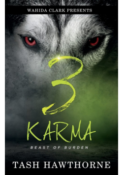 Karma 3