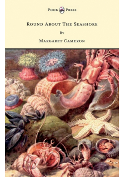Round about the Seashore - With Eight Coloured Pictures