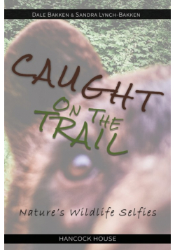 Caught on the Trail