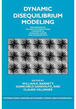 Dynamic Disequilibrium Modeling