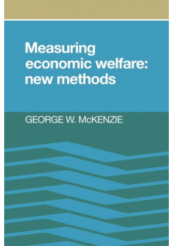 Measuring Economic Welfare