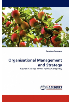 Organisational Management and Strategy