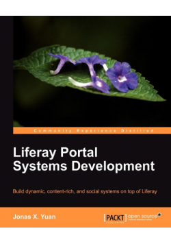 Liferay Portal Systems Development