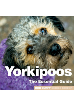 Yorkipoos