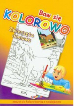 Baw się kolorowo - Zwierzęta domowe LIWONA