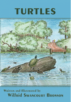 Turtles