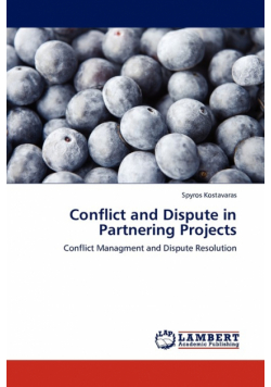 Conflict and Dispute in Partnering Projects