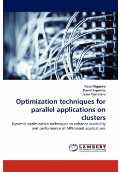 Optimization Techniques for Parallel Applications on Clusters