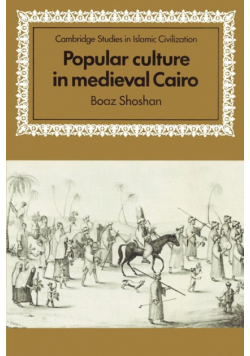 Popular Culture in Medieval Cairo