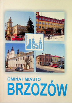 Gmina i miasto Brzozów