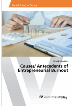 Causes/ Antecedents of Entrepreneurial Burnout