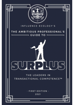 The Ambitious Professional's Guide to Surplus