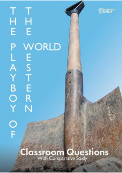 The Playboy of the Western World Classroom Questions