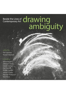 Drawing Ambiguity