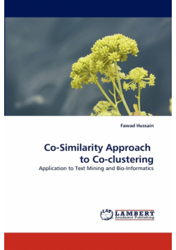 Co-Similarity Approach  to Co-clustering