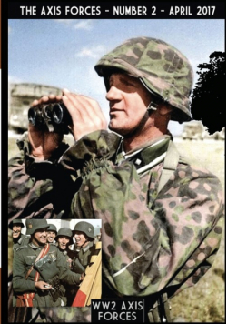 The Axis Forces 2