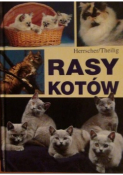 Rasy kotów