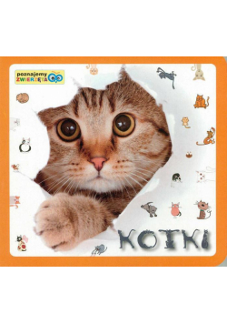 Poznajemy zwierzęta - Kotki