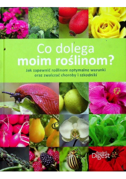 Co dolega moim roślinom