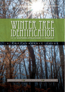 Winter Tree Identification for the Southern Appalachians and Piedmont