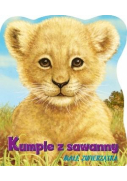Kumple z sawanny