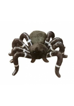 Pająk 25cm