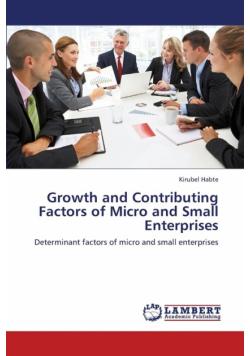 Growth and Contributing Factors of Micro and Small Enterprises