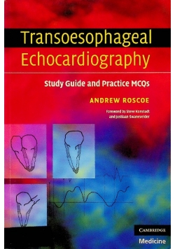Transoesophageal Echocardiograph
