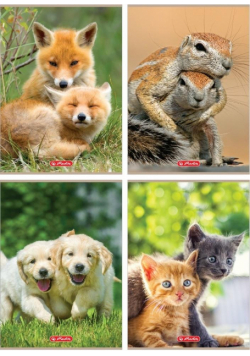 Zeszyt A4/32K kratka Animals (10szt)