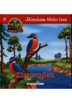 Mieszkam blisko lasu 31  Zimorodek