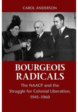 Bourgeois Radicals