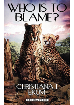 Who Is to Blame?