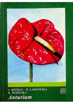Anturium