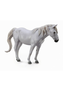 Koń Camargue maści szarej XL