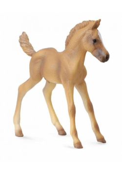 Źrebię Halfinger M