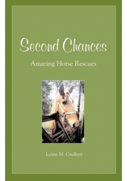 Second Chances