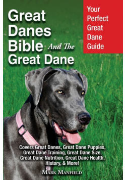 Great Danes Bible And The Great Dane