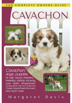 Cavachon