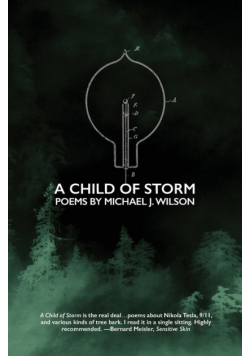 A Child of Storm