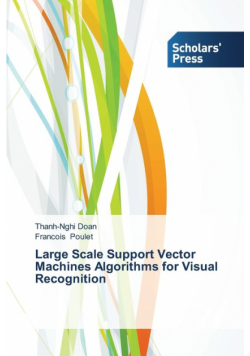 Large Scale Support Vector Machines Algorithms for Visual Recognition
