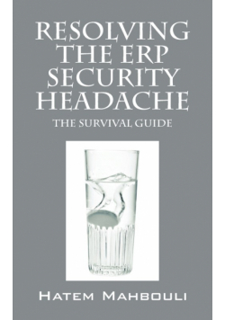 Resolving the Erp Security Headache