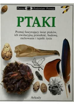 Ptaki