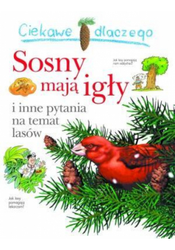 Ciekawe dlaczego - Sosny mają igły