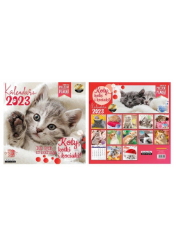 Kalendarz 2023 ścienny Classic Koty