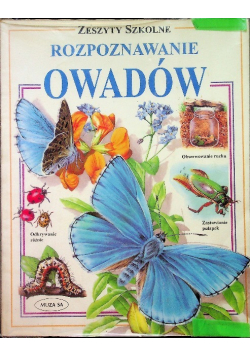 Rozpoznawanie owadów